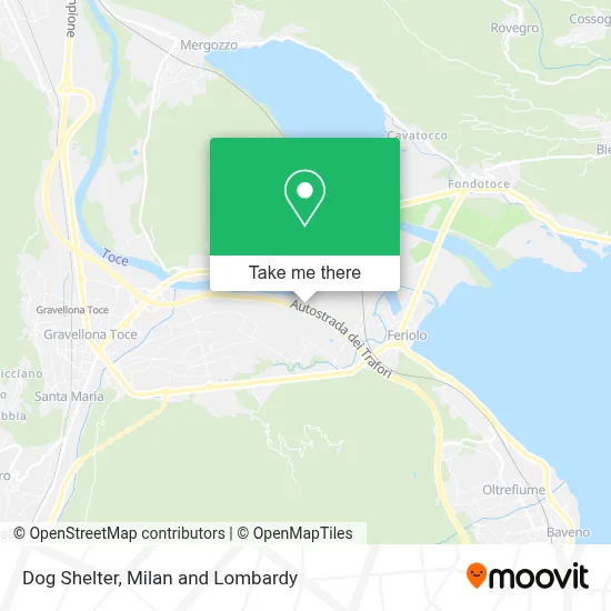 Dog Shelter map