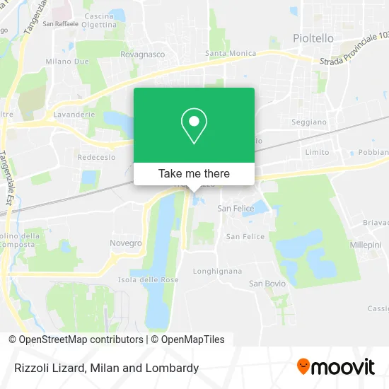 Rizzoli Lizard map