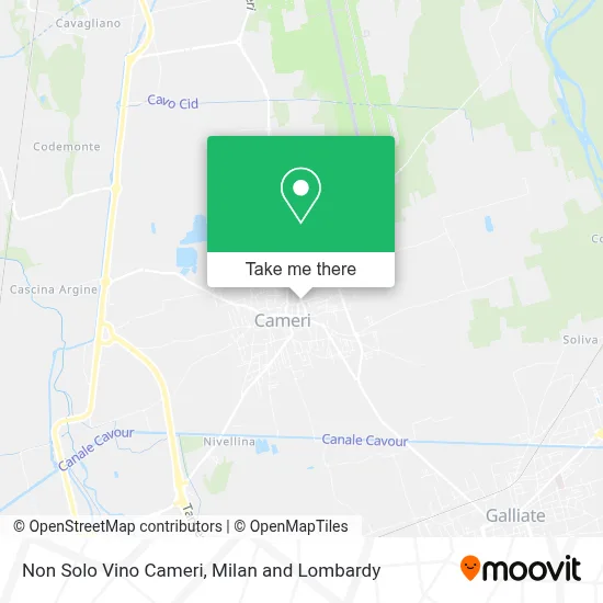 Non Solo Vino Cameri map