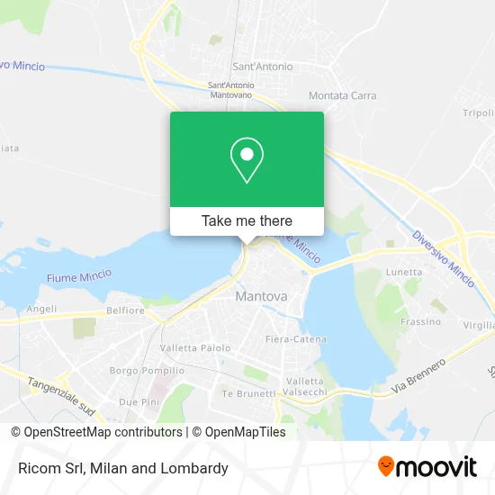 Ricom Srl map