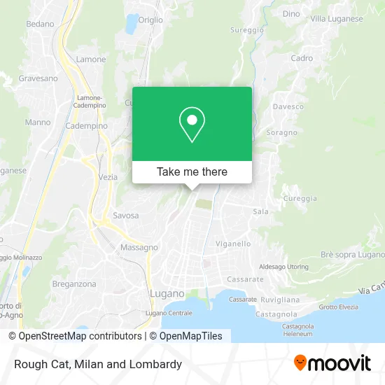 Rough Cat map