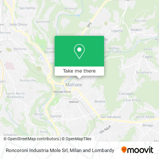Roncoroni Industria Mole Srl map