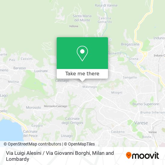 Via Luigi Alesini / Via Giovanni Borghi map