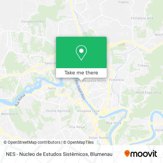 NES - Nucleo de Estudos Sistêmicos map