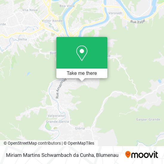Mapa Miriam Martins Schwambach da Cunha