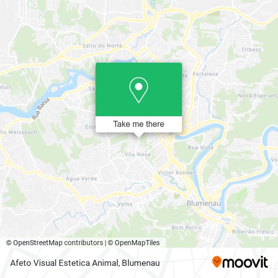 Afeto Visual Estetica Animal map