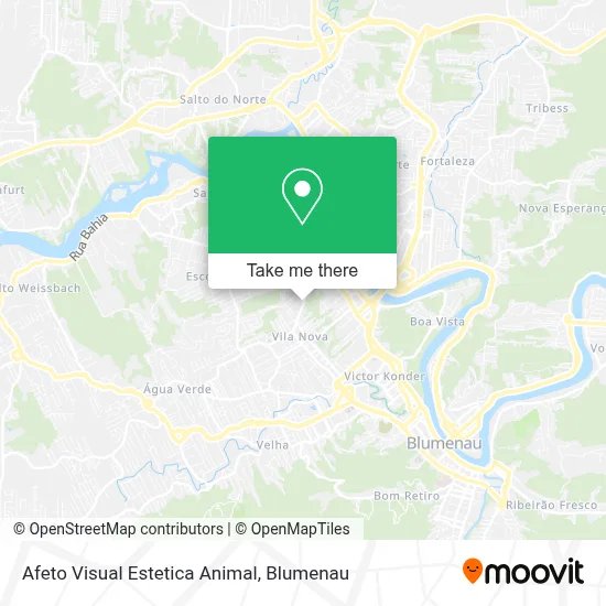 Afeto Visual Estetica Animal map