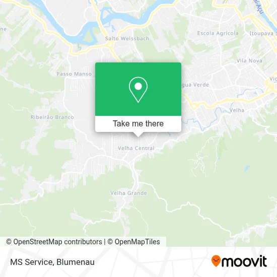 MS Service map