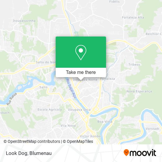 Look Dog map