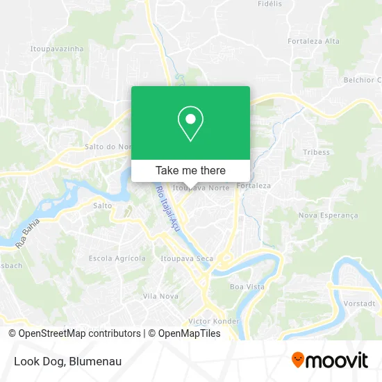 Look Dog map