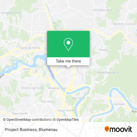 Project Business map