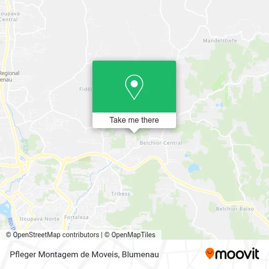 Pfleger Montagem de Moveis map