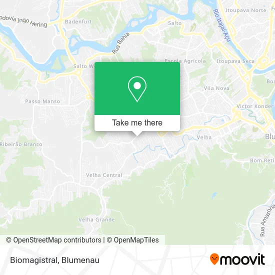 Biomagistral map