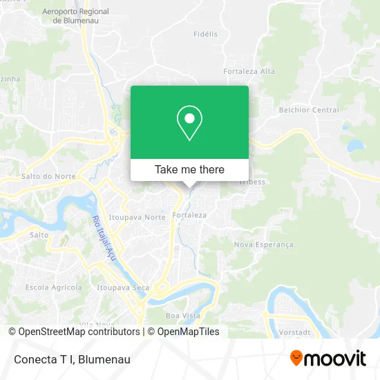Conecta T I map