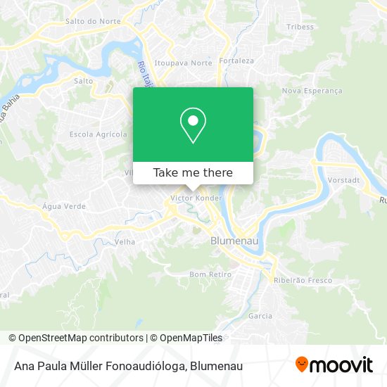 Ana Paula Müller Fonoaudióloga map