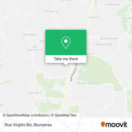 Rua Virgilio Biz map