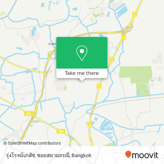 รุ่งโรจน์เภสัช, ซอยสยามธรณี map