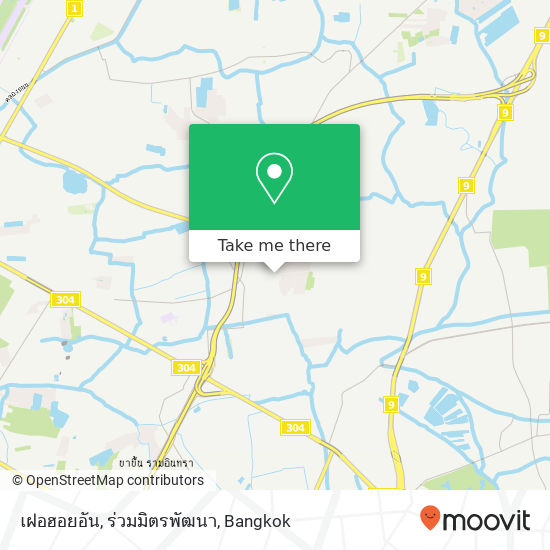 เฝอฮอยอัน, ร่วมมิตรพัฒนา map