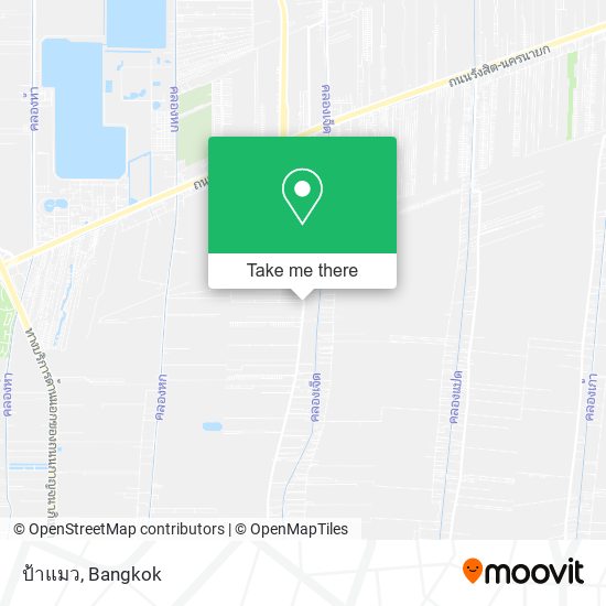 ป้าแมว map