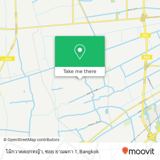 ไม้กวาดดอกหญ้า, ซอย ยามผกา 1 map