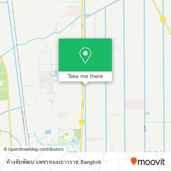 ห้างชัยพัฒนาเพชรทองเยาวราช, ถนน เทพกุญชร 1 map