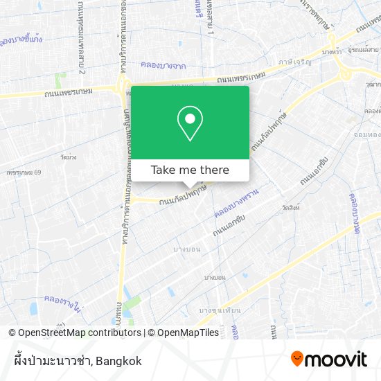 ผึ้งป่ามะนาวซ่า map