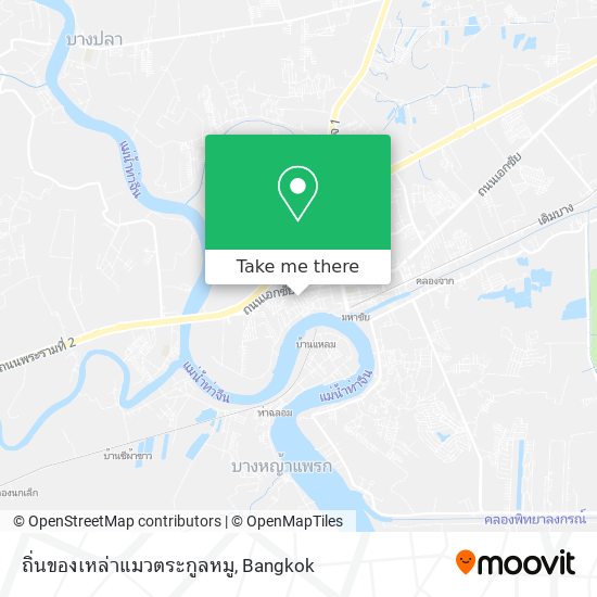 ถิ่นของเหล่าแมวตระกูลหมู map