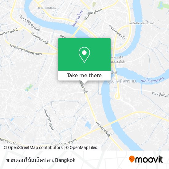 ขายดอกไม้เกล็ดปลา map