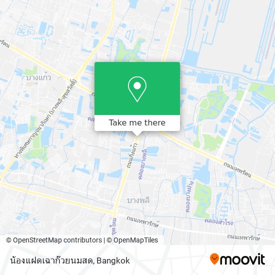 น้องแฝดเฉาก๊วยนมสด map