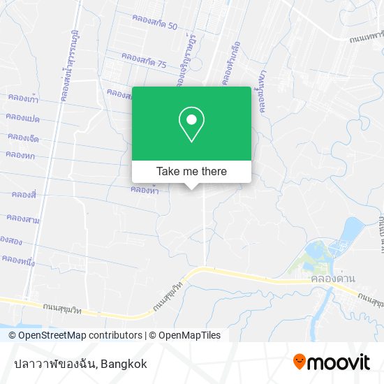 ปลาวาฬของฉัน map