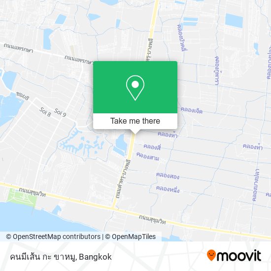 คนมีเส้น กะ ขาหมู map