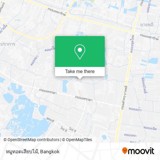 หมูทอดเสียบไม้ map