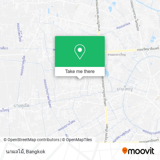 นกผลไม้ map