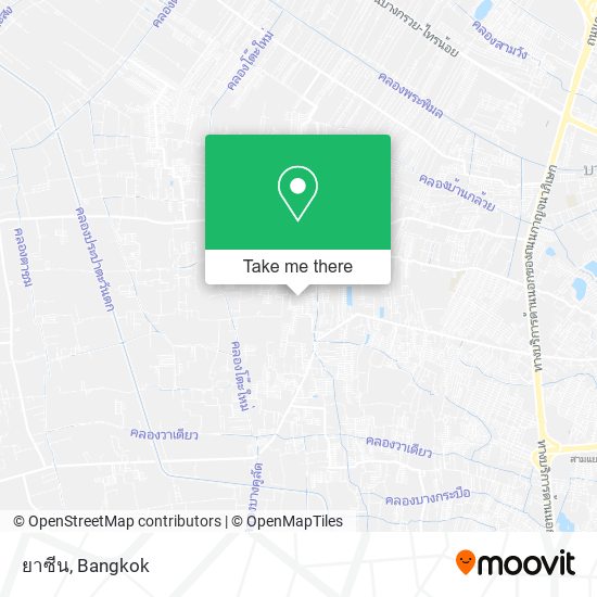 ยาซีน map