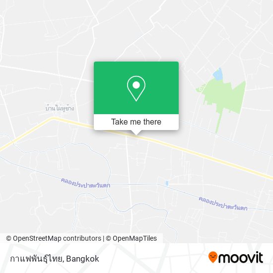 กาแฟพันธุ์ไทย map