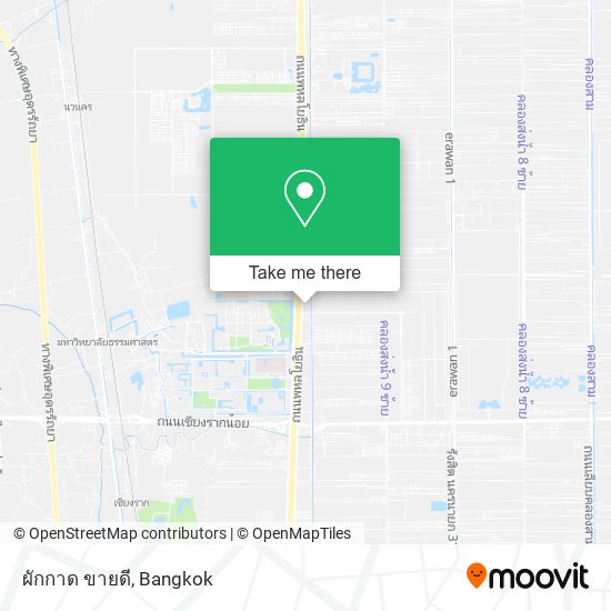 ผักกาด ขายดี map