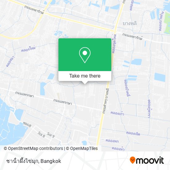 ชาน้ําผึ้งไข่มุก map