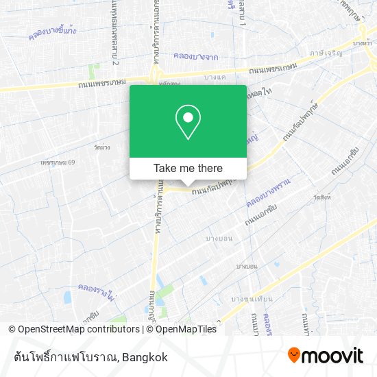 ต้นโพธิ์กาแฟโบราณ map