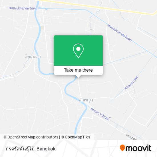 กรจรัสพันธุ์ไม้ map
