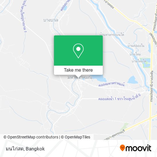 มนไก่สด map