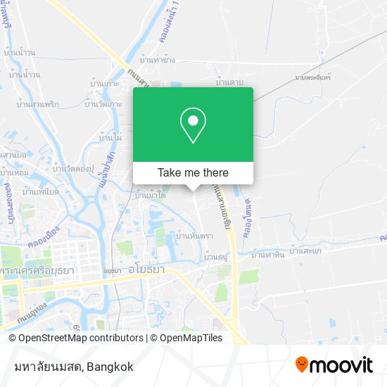 มหาลัยนมสด map
