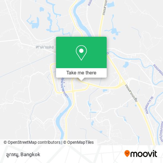 ลูกหมู map
