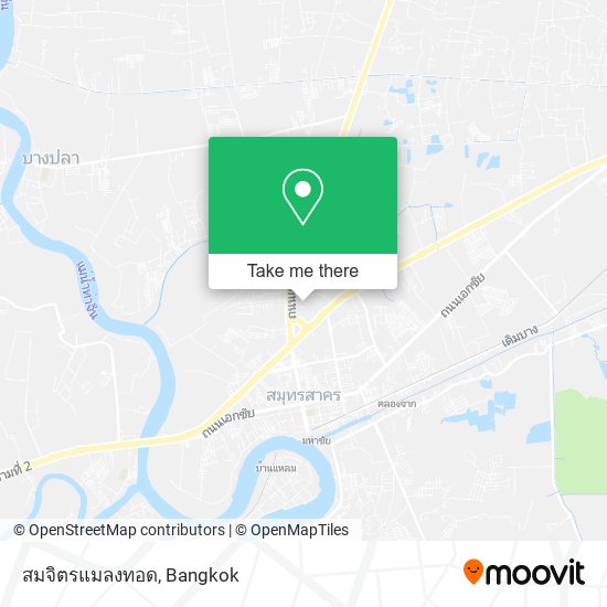 สมจิตรแมลงทอด map