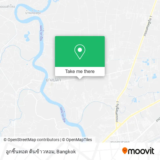 ลูกชิ้นทอด ต้นข้าวหอม map