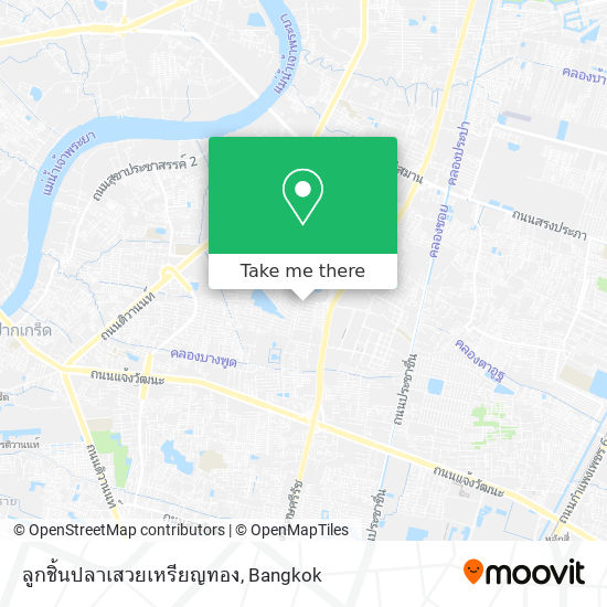 ลูกชิ้นปลาเสวยเหรียญทอง map