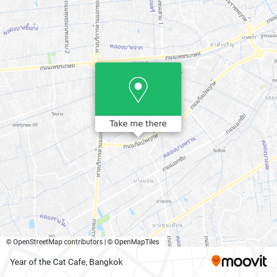 Year of the Cat Cafe map