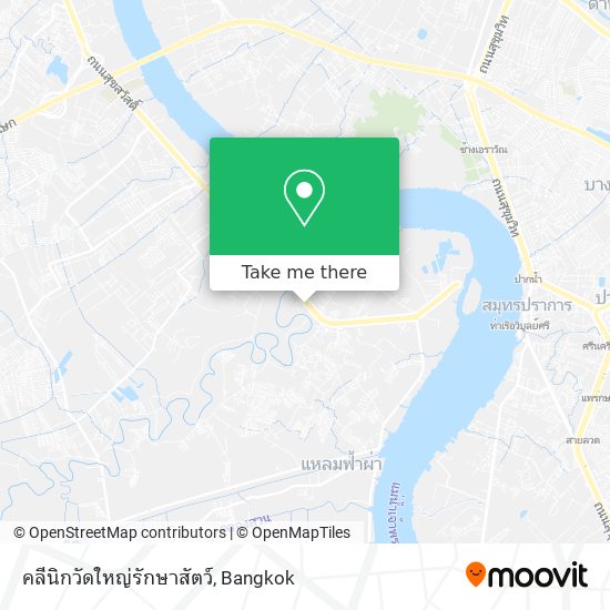 คลีนิกวัดใหญ่รักษาสัตว์ map