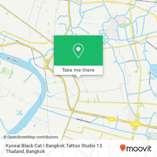 Kyosai Black Cat I Bangkok Tattoo Studio 13 Thailand map