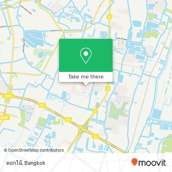 ดอกไม้ map