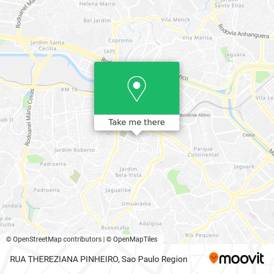 RUA THEREZIANA PINHEIRO map